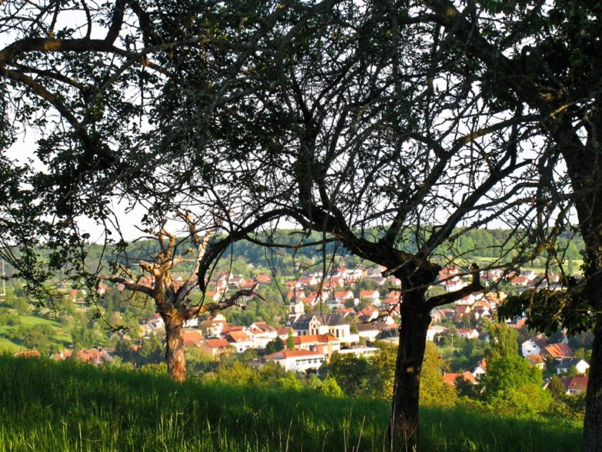 Ferienwohnung Marianne Und Heinz Marpingen ภายนอก รูปภาพ